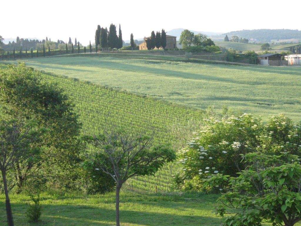 Agriturismo Santa Maria Torrita di Siena Εξωτερικό φωτογραφία