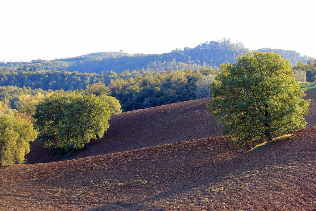 Agriturismo Santa Maria Torrita di Siena Εξωτερικό φωτογραφία