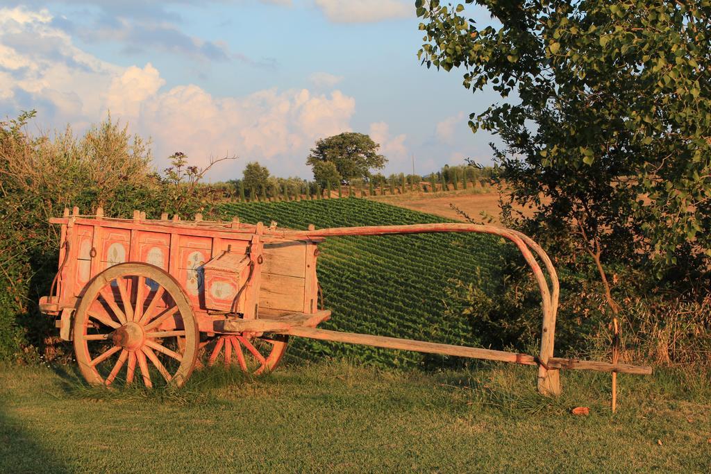Agriturismo Santa Maria Torrita di Siena Εξωτερικό φωτογραφία