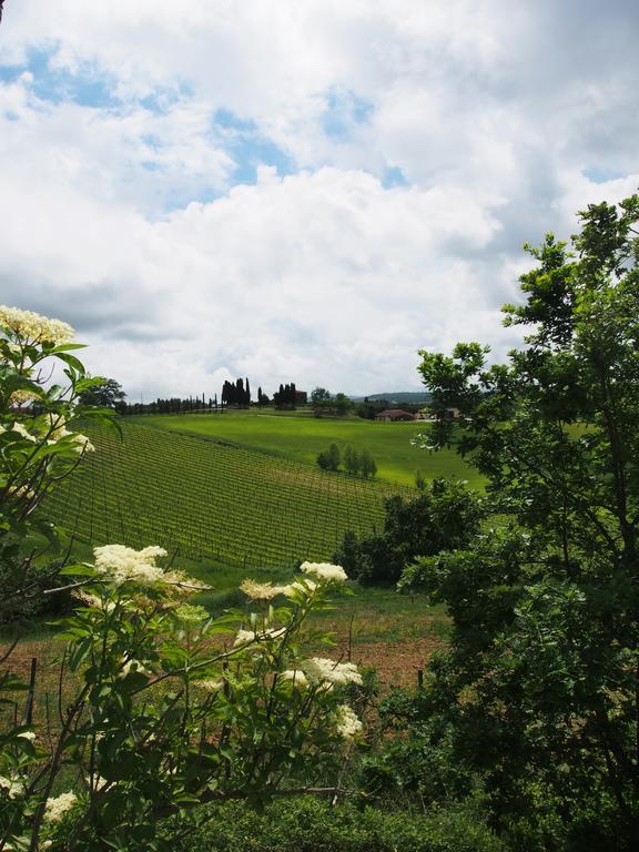 Agriturismo Santa Maria Torrita di Siena Εξωτερικό φωτογραφία