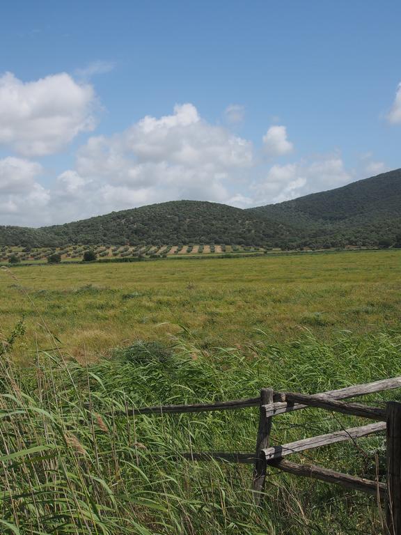 Agriturismo Santa Maria Torrita di Siena Εξωτερικό φωτογραφία