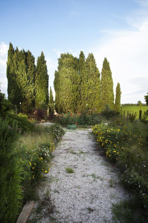 Agriturismo Santa Maria Torrita di Siena Εξωτερικό φωτογραφία